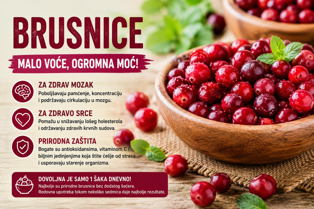 Brusnica – malo voće koje čuva mozak, srce i pamćenje bolje nego što mislite!