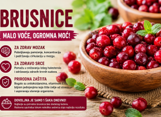 Brusnica – malo voće koje čuva mozak, srce i pamćenje bolje nego što mislite! Brusnica – malo voće koje čuva mozak, srce i pamćenje bolje nego što mislite!