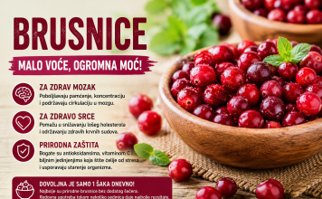 Brusnica – malo voće koje čuva mozak, srce i pamćenje bolje nego što mislite! Brusnica – malo voće koje čuva mozak, srce i pamćenje bolje nego što mislite!