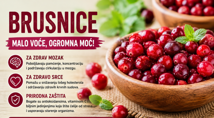 Brusnica – malo voće koje čuva mozak, srce i pamćenje bolje nego što mislite! Brusnica – malo voće koje čuva mozak, srce i pamćenje bolje nego što mislite!