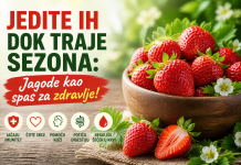Jedite ih dok traje sezona: Jagode kao spas za zdravlje! Jedite ih dok traje sezona: Jagode kao spas za zdravlje!