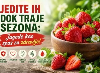 Jedite ih dok traje sezona: Jagode kao spas za zdravlje! Jedite ih dok traje sezona: Jagode kao spas za zdravlje!