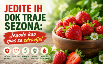 Jedite ih dok traje sezona: Jagode kao spas za zdravlje! Jedite ih dok traje sezona: Jagode kao spas za zdravlje!