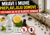 Mravi i muhe preplavljuju domove – evo kako da ih se riješite odmah! Mravi i muhe preplavljuju domove – evo kako da ih se riješite odmah!