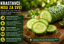 Ovo morate pročitati prije nego pojedete krastavac! Ovo morate pročitati prije nego pojedete krastavac!