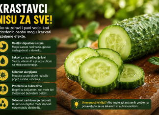 Ovo morate pročitati prije nego pojedete krastavac! Ovo morate pročitati prije nego pojedete krastavac!