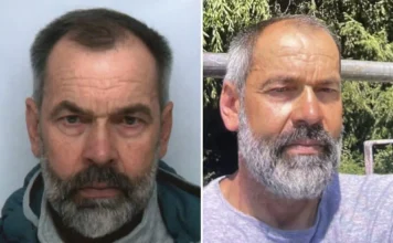 HOROR U NJEMAČKOJ: Biznismen iz BiH otet, ubijen pa zakopan u šumi kod Potsdama