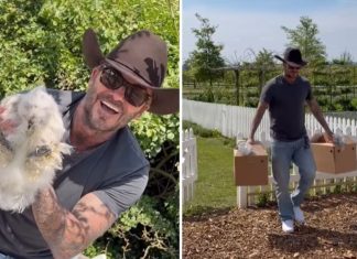 Slavni fudbaler danas uživa u sasvim drugačijem životu: Nove kokoške razveselile David Beckham
