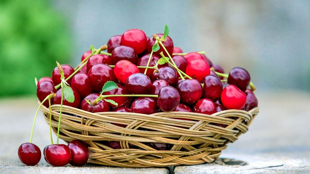 STRUČNJACI UPOZORAVAJU: Višnje nisu zdrave za svakoga – evo ko mora biti oprezan