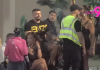 “Ti si pijandura!” Terza brutalno udario na Kačavendu, nastao potpuni haos! "Ti si pijandura!" Terza brutalno udario na Kačavendu, nastao potpuni haos!
