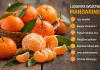 MANDARINA – ZLATNI PLOD ZDRAVLJA: Jača imunitet, čuva srce i pomaže u borbi protiv brojnih tegoba MANDARINA – ZLATNI PLOD ZDRAVLJA: Jača imunitet, čuva srce i pomaže u borbi protiv brojnih tegoba