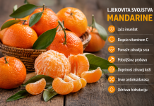 MANDARINA – ZLATNI PLOD ZDRAVLJA: Jača imunitet, čuva srce i pomaže u borbi protiv brojnih tegoba MANDARINA – ZLATNI PLOD ZDRAVLJA: Jača imunitet, čuva srce i pomaže u borbi protiv brojnih tegoba