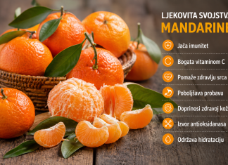 MANDARINA – ZLATNI PLOD ZDRAVLJA: Jača imunitet, čuva srce i pomaže u borbi protiv brojnih tegoba MANDARINA – ZLATNI PLOD ZDRAVLJA: Jača imunitet, čuva srce i pomaže u borbi protiv brojnih tegoba