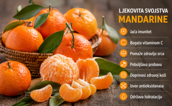 MANDARINA – ZLATNI PLOD ZDRAVLJA: Jača imunitet, čuva srce i pomaže u borbi protiv brojnih tegoba MANDARINA – ZLATNI PLOD ZDRAVLJA: Jača imunitet, čuva srce i pomaže u borbi protiv brojnih tegoba