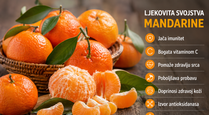 MANDARINA – ZLATNI PLOD ZDRAVLJA: Jača imunitet, čuva srce i pomaže u borbi protiv brojnih tegoba MANDARINA – ZLATNI PLOD ZDRAVLJA: Jača imunitet, čuva srce i pomaže u borbi protiv brojnih tegoba