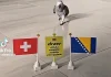 Video koji je oduševio navijače: Papagaj prognozirao pobjednika meča BiH i Švicarske