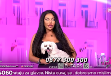 Nove tvrdnje o Sofiji i Danetu zapalile studio! Nena otkrila detalje, Terza sve pažljivo slušao Nove tvrdnje o Sofiji i Danetu zapalile studio! Nena otkrila detalje, Terza sve pažljivo slušao