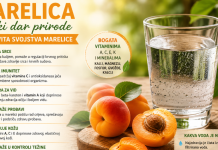Ljekovita svojstva marelice: Zdravstvene prednosti i nutritivne vrijednosti Ljekovita svojstva marelice: Zdravstvene prednosti i nutritivne vrijednosti