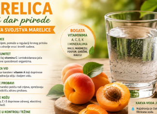 Ljekovita svojstva marelice: Zdravstvene prednosti i nutritivne vrijednosti Ljekovita svojstva marelice: Zdravstvene prednosti i nutritivne vrijednosti