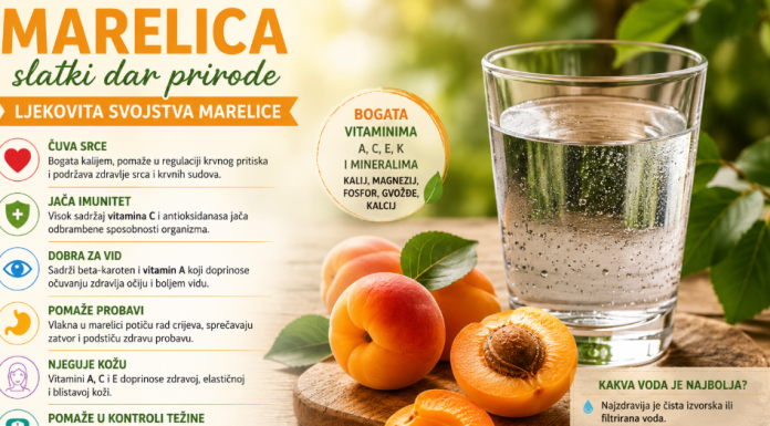Ljekovita svojstva marelice: Zdravstvene prednosti i nutritivne vrijednosti Ljekovita svojstva marelice: Zdravstvene prednosti i nutritivne vrijednosti