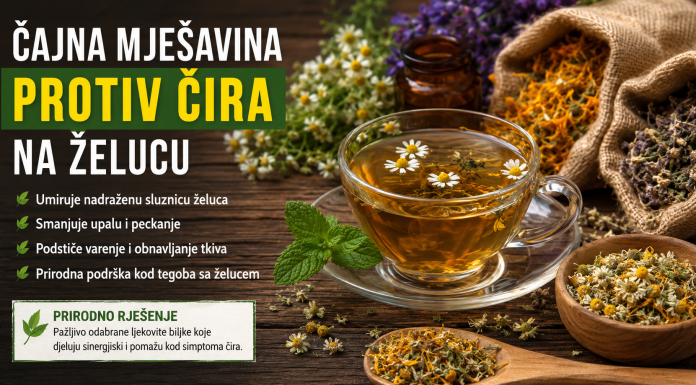 Muči vas čir na želucu? Ova kombinacija ljekovitog bilja godinama se koristi za ublažavanje tegoba Muči vas čir na želucu? Ova kombinacija ljekovitog bilja godinama se koristi za ublažavanje tegoba