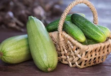 Krastavac ili tikvica: Jedno tijelu daje više tečnosti nego voda, drugo više vitamina