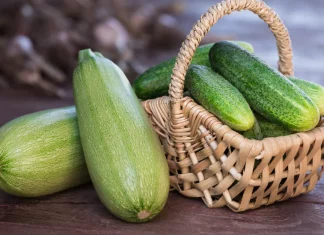 Krastavac ili tikvica: Jedno tijelu daje više tečnosti nego voda, drugo više vitamina