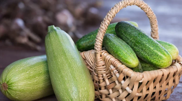 Krastavac ili tikvica: Jedno tijelu daje više tečnosti nego voda, drugo više vitamina