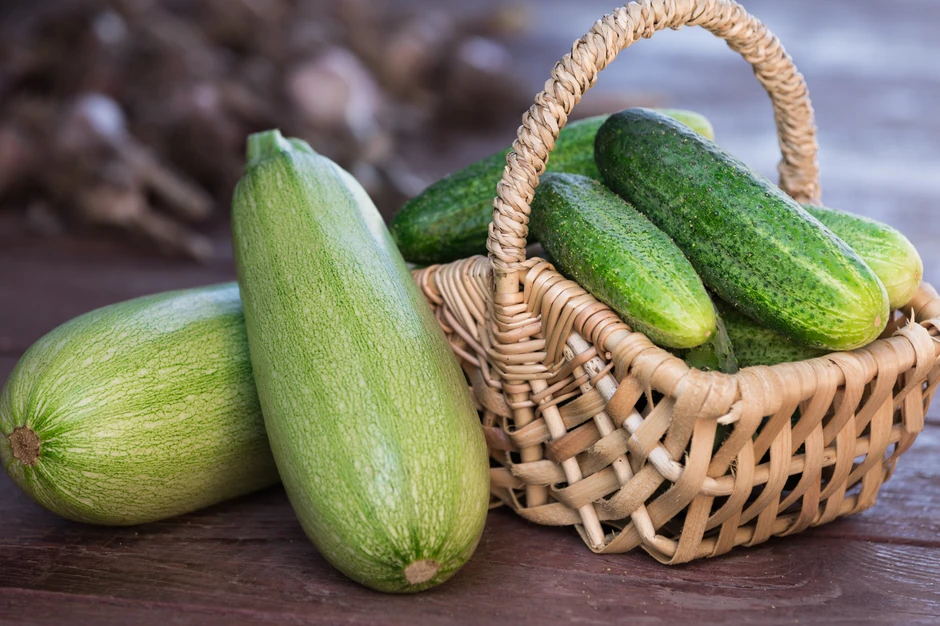 Krastavac ili tikvica - Jedno tijelu daje više tečnosti nego voda, drugo više vitamina
