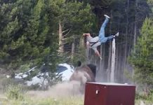 Turista teško povrijeđen nakon napada bizona: Snimak iz Yellowstonea obišao svijet