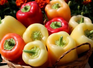 Jedna od najzdravijih namirnica iz bašte: Evo šta paprika može učiniti za vaše zdravlje Jedna od najzdravijih namirnica iz bašte: Evo šta paprika može učiniti za vaše zdravlje