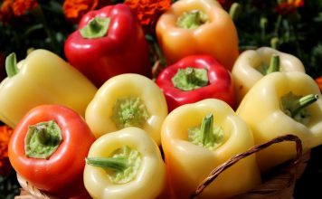 Jedna od najzdravijih namirnica iz bašte: Evo šta paprika može učiniti za vaše zdravlje Jedna od najzdravijih namirnica iz bašte: Evo šta paprika može učiniti za vaše zdravlje