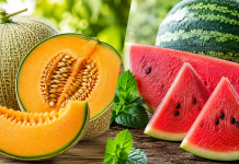Dinja ili lubenica? Nutricionisti otkrili koja je zaista zdravija Dinja ili lubenica? Nutricionisti otkrili koja je zaista zdravija