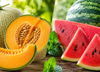 Dinja ili lubenica? Nutricionisti otkrili koja je zaista zdravija Dinja ili lubenica? Nutricionisti otkrili koja je zaista zdravija