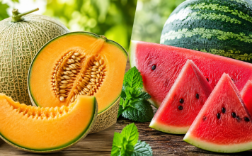 Dinja ili lubenica? Nutricionisti otkrili koja je zaista zdravija Dinja ili lubenica? Nutricionisti otkrili koja je zaista zdravija