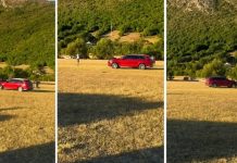 UŽAS NA KONJIČKIM TRKAMA KOD BILEĆE: Vozač namjerno pregazio troje ljudi, pa se vratio da žrtvu udari ponovo