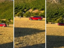 UŽAS NA KONJIČKIM TRKAMA KOD BILEĆE: Vozač namjerno pregazio troje ljudi, pa se vratio da žrtvu udari ponovo