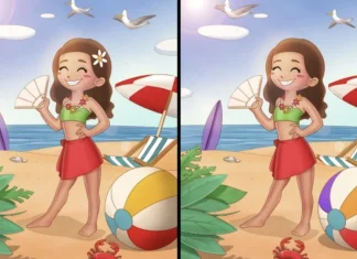 Izgleda lako, ali nije: Ova mozgalica sa plaže testira vašu koncentraciju do maksimuma