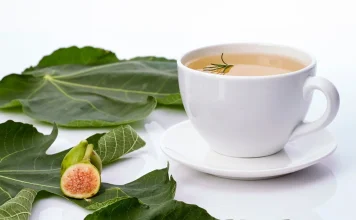 Čaj od smokvinog lista – napitak koji se tradicionalno koristi za šećer u krvi i probavu Čaj od smokvinog lista – napitak koji se tradicionalno koristi za šećer u krvi i probavu
