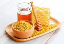 PROPOLIS – PRIRODNA ZAŠTITA IZ KOŠNICE: Zašto ga ljudi posebno koriste tokom jeseni? PROPOLIS – PRIRODNA ZAŠTITA IZ KOŠNICE: Zašto ga ljudi posebno koriste tokom jeseni?