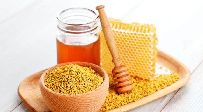 PROPOLIS – PRIRODNA ZAŠTITA IZ KOŠNICE: Zašto ga ljudi posebno koriste tokom jeseni? PROPOLIS – PRIRODNA ZAŠTITA IZ KOŠNICE: Zašto ga ljudi posebno koriste tokom jeseni?
