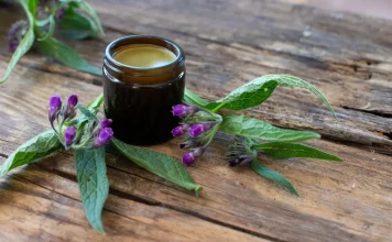 Gavez i povrede kostiju: Šta kaže nauka o biljci koja se tradicionalno koristi vijekovima? Gavez i povrede kostiju: Šta kaže nauka o biljci koja se tradicionalno koristi vijekovima?